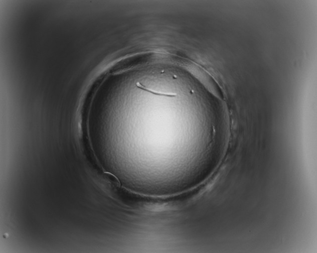 X0000089880246200707121817