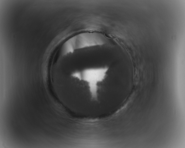 X0000089880247200707121817