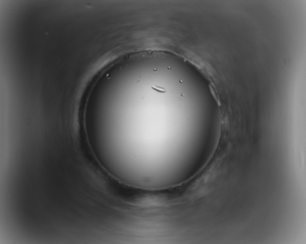 X0000089880248200707121817