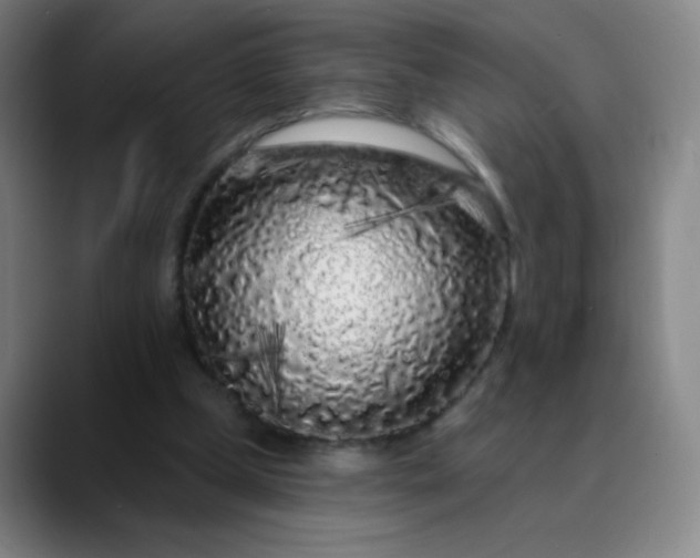 X0000089880249200707121818