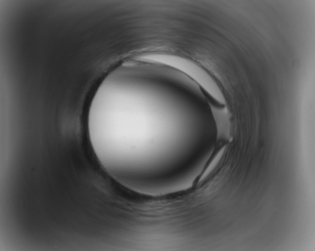 X0000089880252200707121818