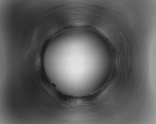 X0000089880254200707121818