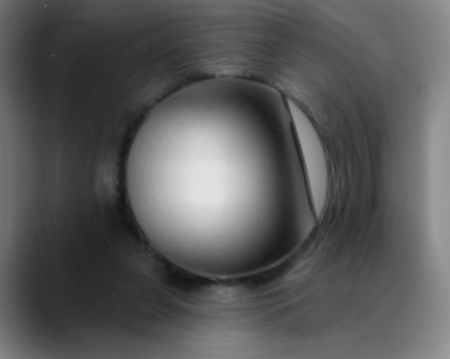 X0000089880255200707121818