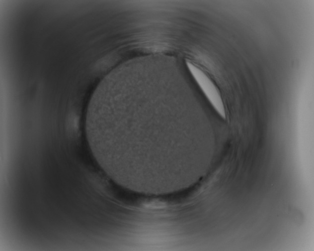 X0000089880258200707121818