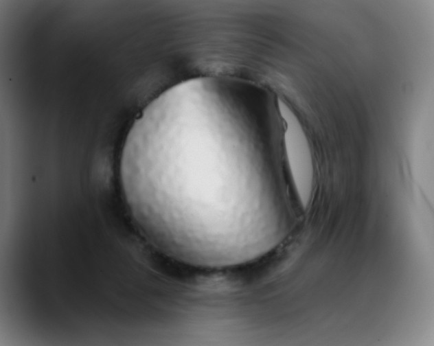 X0000089880259200707121818