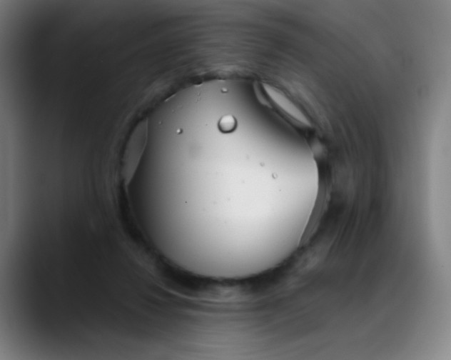 X0000089880260200707121818