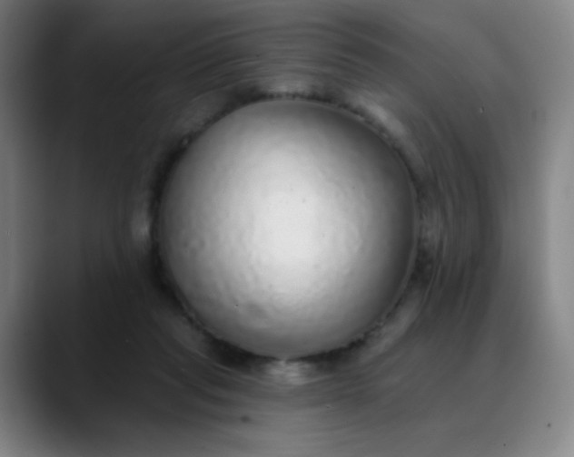 X0000089880261200707121818