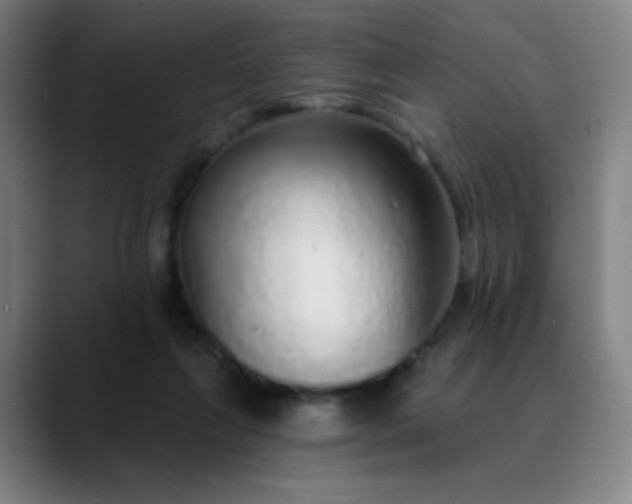 X0000089880263200707121818