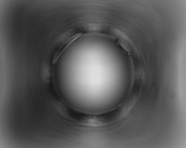 X0000089880264200707121818