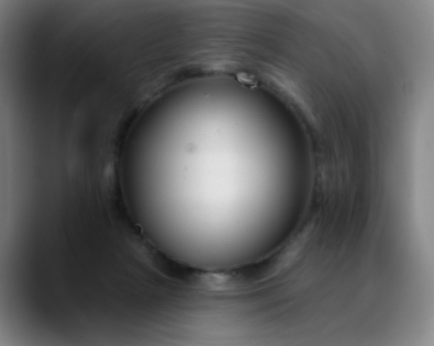 X0000089880265200707121818