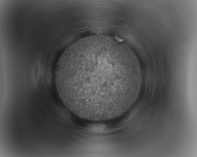 X0000089880266200707121818