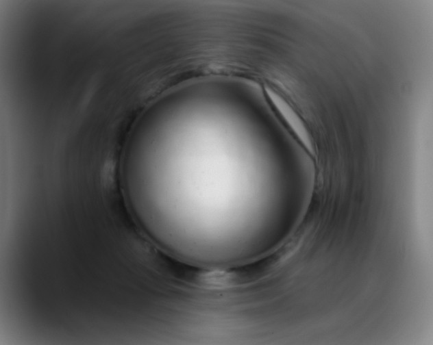 X0000089880269200707121818