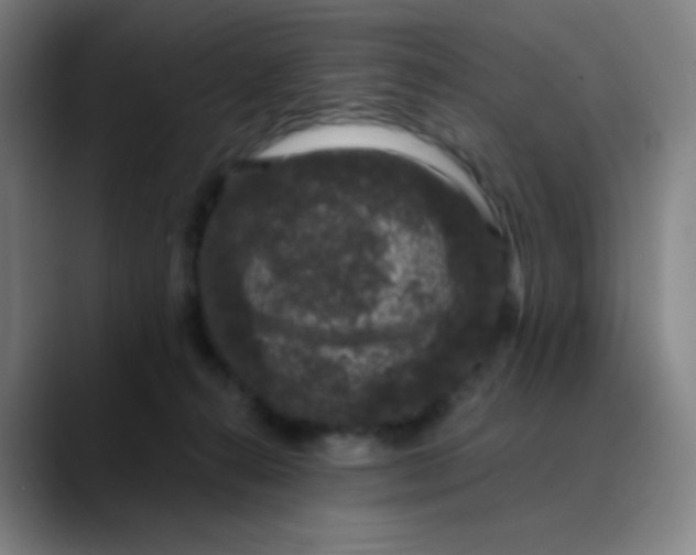 X0000089880272200707121818