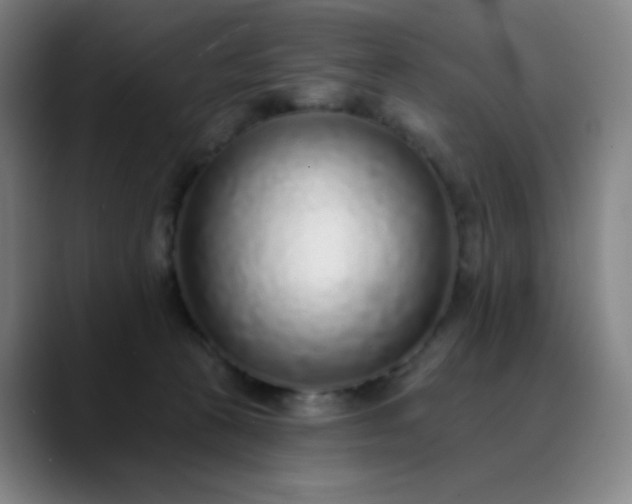 X0000089880273200707121818