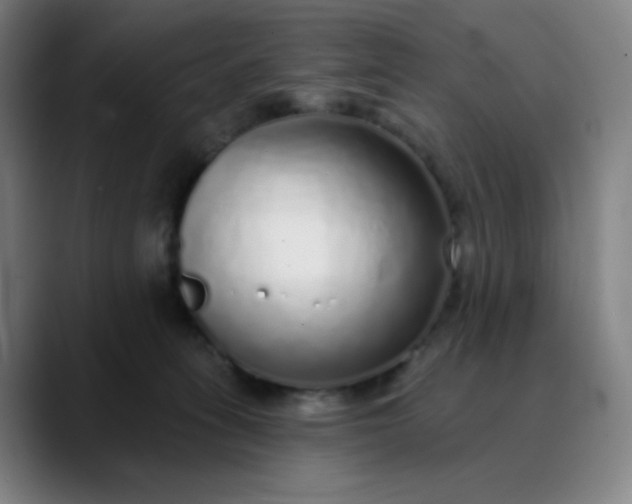 X0000089880275200707121818