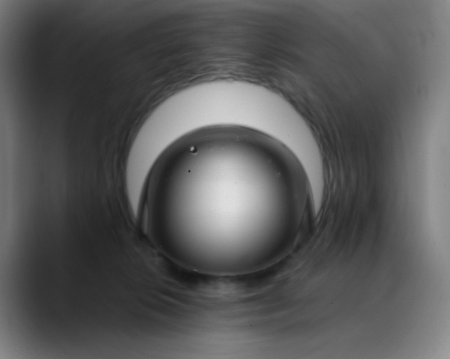 X0000089880276200707121818