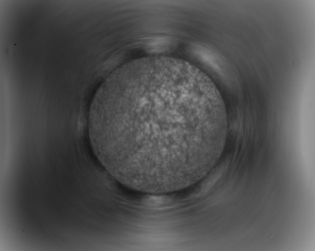 X0000089880277200707121818