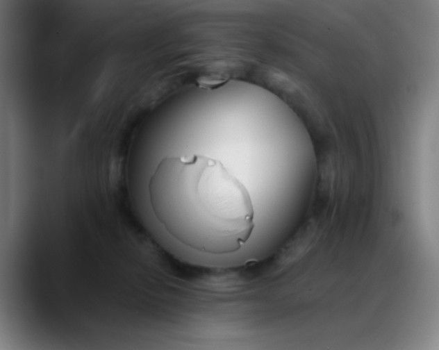 X0000089880278200707121818