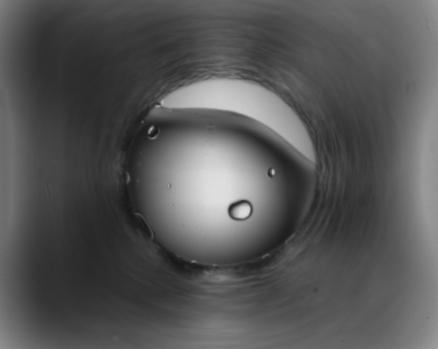 X0000089880280200707121818