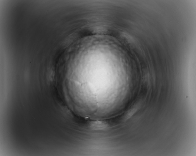 X0000089880281200707121818