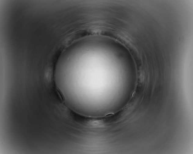 X0000089880283200707121818