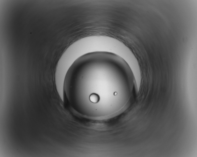 X0000089880284200707121818