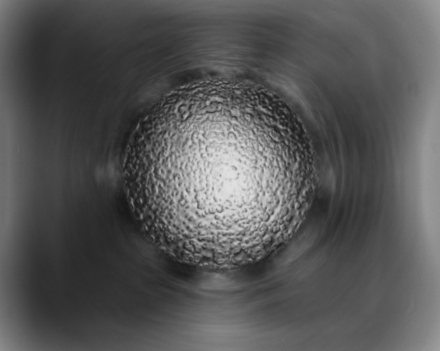 X0000089880285200707121818