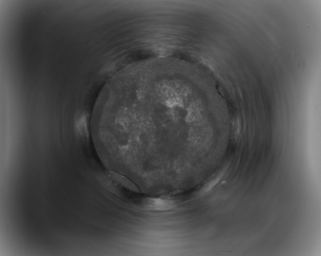 X0000089880286200707121818