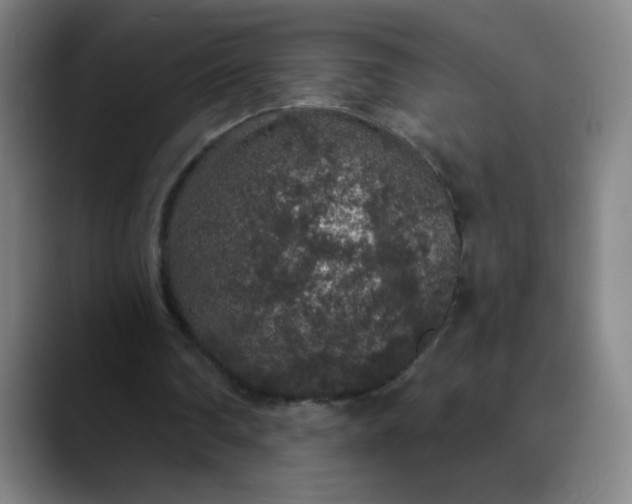 X0000089880290200707121817