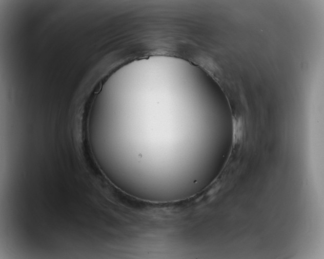 X0000089880291200707121817