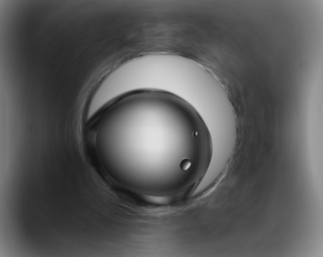 X0000089880293200707121817