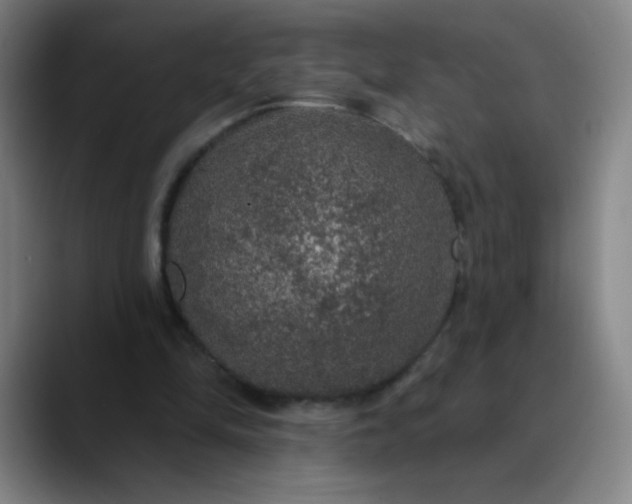 X0000089880294200707121817