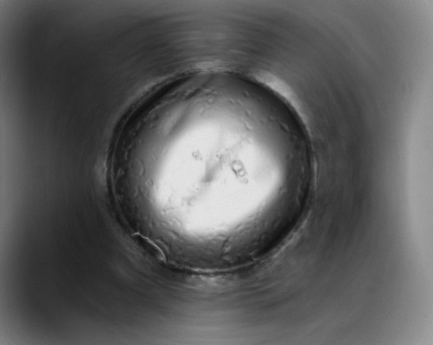 X0000089880297200707121817