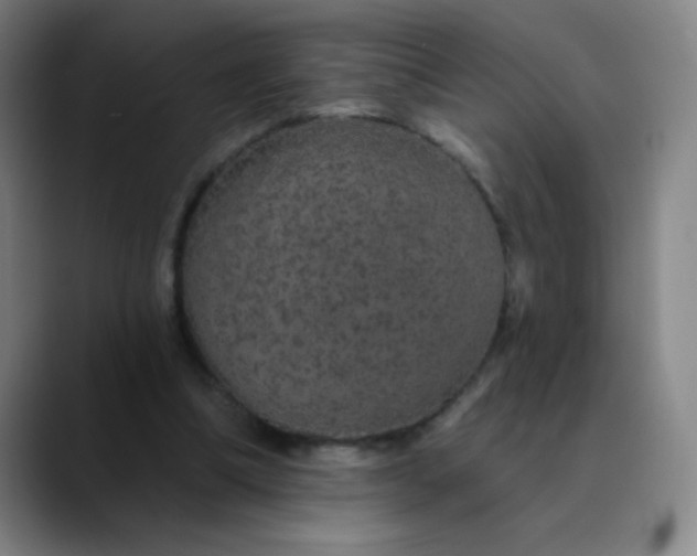 X0000089880298200707121817