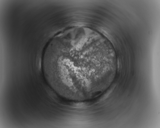 X0000089880301200707121817