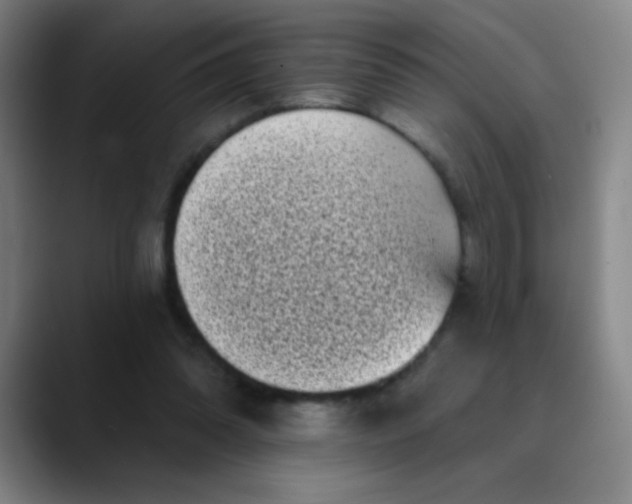 X0000089880302200707121817