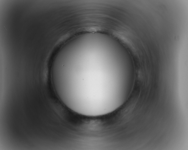 X0000089880304200707121817