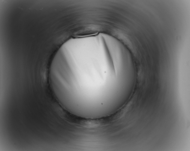 X0000089880305200707121817