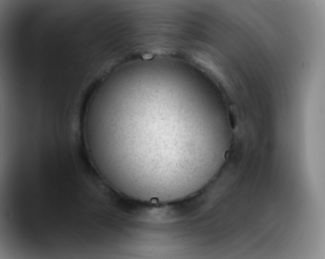 X0000089880306200707121817