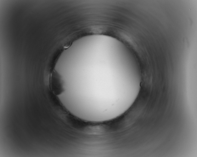 X0000089880307200707121817