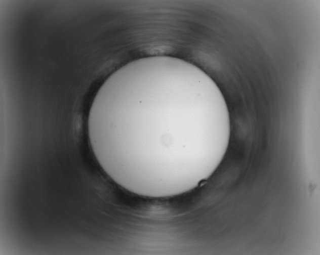 X0000089880308200707121817