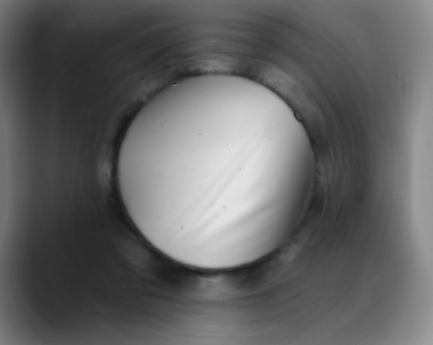 X0000089880309200707121817