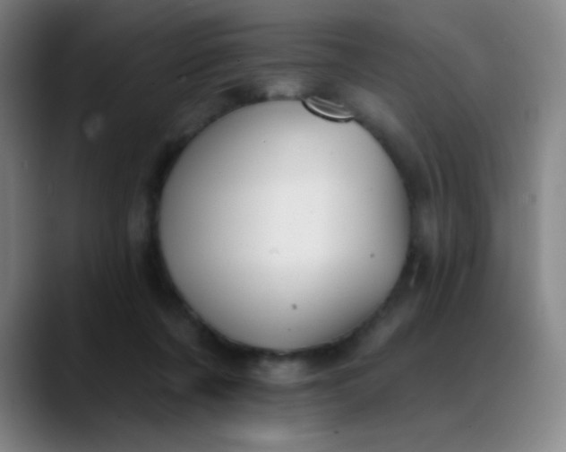 X0000089880311200707121817