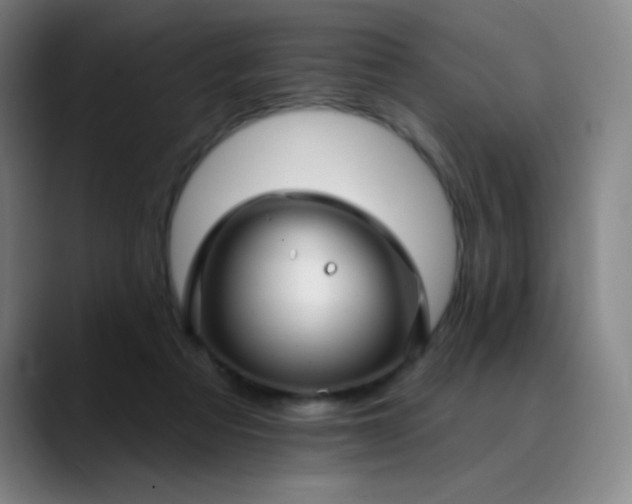 X0000089880313200707121817