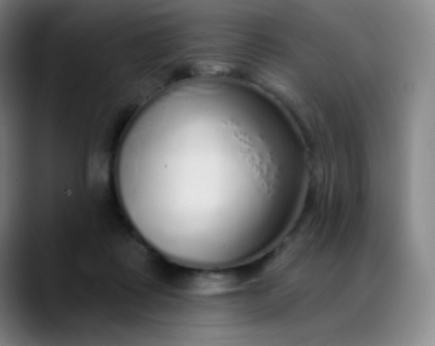 X0000089880315200707121817