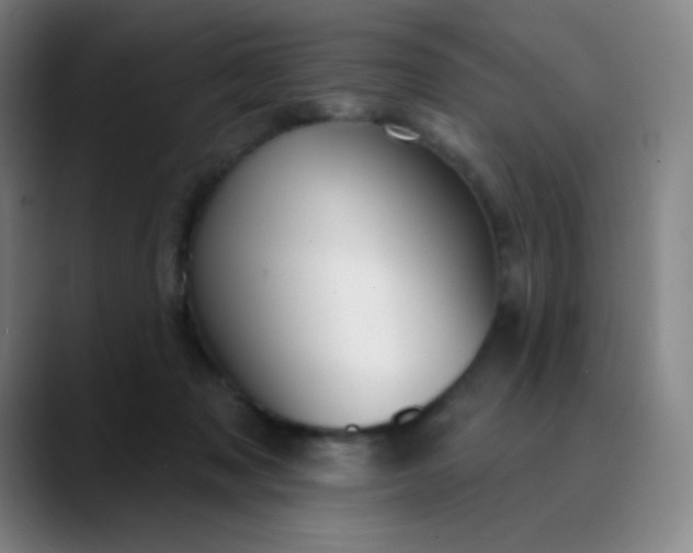 X0000089880317200707121817