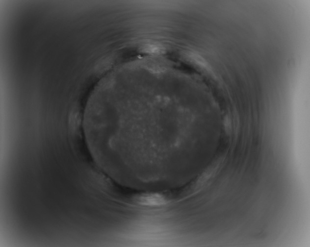 X0000089880322200707121817