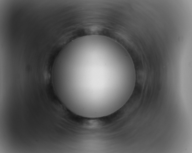 X0000089880324200707121817