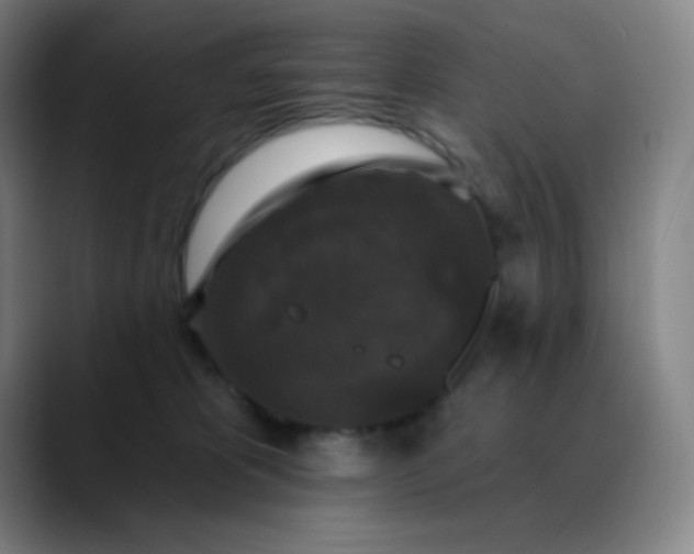 X0000089880325200707121817