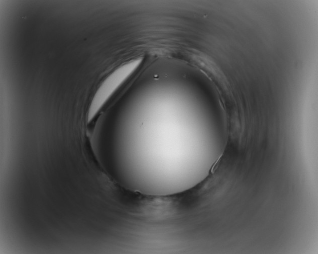 X0000089880329200707121817